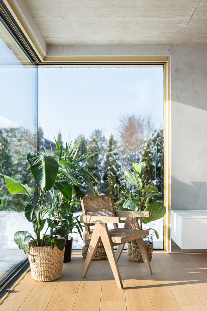 Family House with a Corner Window — Vestec — Project image